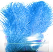 Ostridge  plumes  TURBO �������   ������� ����� 